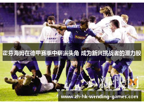 霍芬海姆在德甲赛季中崭露头角 成为新兴挑战者的潜力股